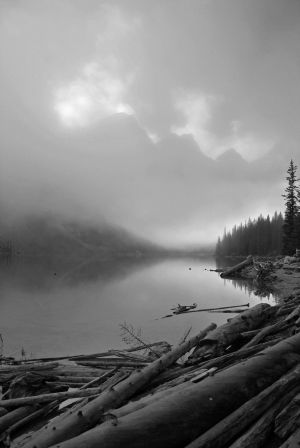 BANFF - Moraine Log Jam